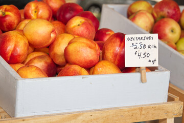 Farm fresh nectarines on display at an outdoor farmers market.