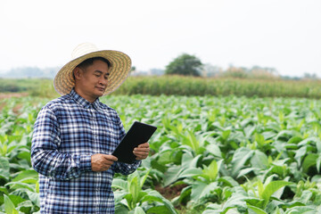 Asian man gardener is at garden, wears hat, plaid shirt, holds smart tablet to inspect growth and diseases of plants. Concept, agriculture inspection, study survey and research to develop crops.      