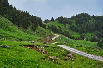 Green hills on the road to Tsoreilam mountain pass
