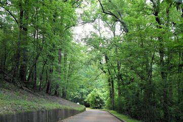 Vicksburg Civil War Battlefield Drive through Forest in Mississippi USA