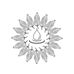 illustration of cardamom oil, vector art.
