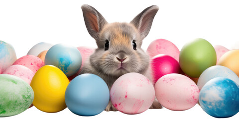 An Easter bunny in the middle of many colorful Easter eggs, background, banner, isolated
