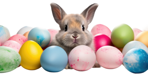 An Easter bunny in the middle of many colorful Easter eggs, background, banner, isolated