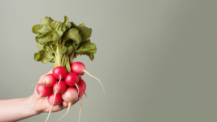 Hand holding radishes vegetable isolated on pastel background