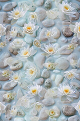 An artistic arrangement of white lotus flowers and varied stones creates a meditative pattern, evoking peace and introspection