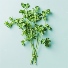Obraz premium Photo of fresh parsley on isolated background