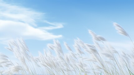 bright white sky background illustration light serene, calm pure, ethereal heavenly bright white sky background