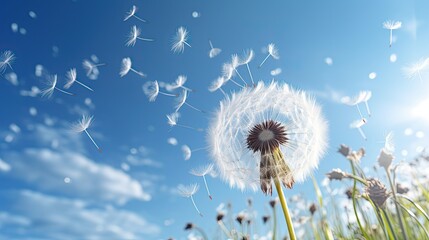 Naklejka premium photorealistic high detailed a perfect dandelion flower