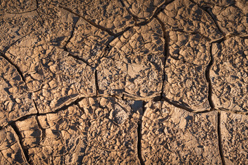 Texture of dry mud ground