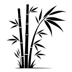 Fototapeta na wymiar bamboo isolated on white