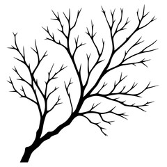 Vector leafless tree branch silhouette, isolated on white