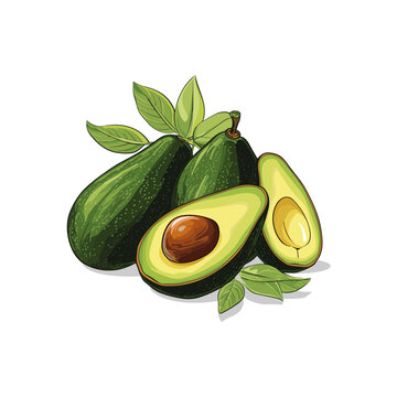 green avocados with leaves on white background clip art preview