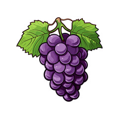 bunch of grapes isolated on white background