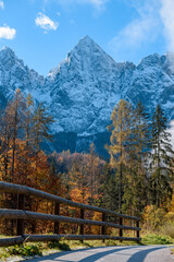 Fototapeta na wymiar Scenic view of hiking trail in woodland under snowy mountains in autumn in Gozd Martuljek, Slovenia