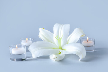 Beautiful lily flower with burning candles on grey background