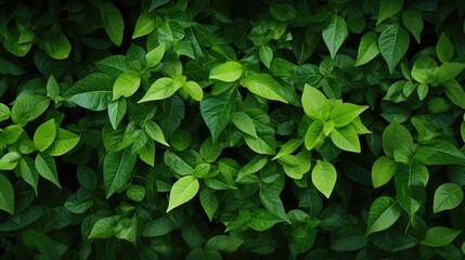 Green leaf background.. Generative AI