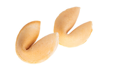 fortune cookie isolated