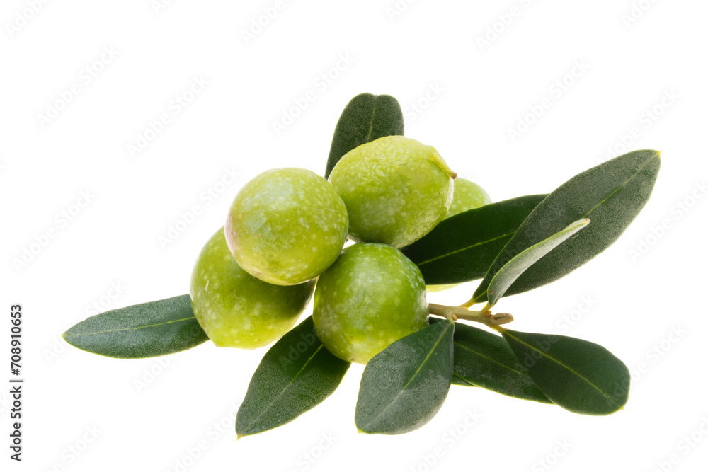 Poster branch with green olives isolated