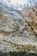 Forest landscape in late autumn or early spring. Rocks covered with mosses and roots. Trees in a mountainous area.