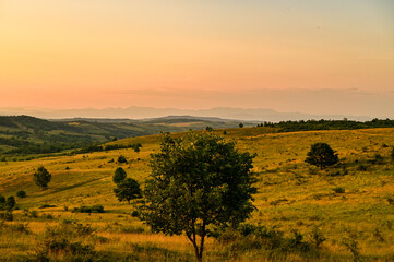 Beautiful sunset panorama over steppe-like landscape in Transylvania, with grasses, trees and mountains in the background, Hunedoara, Romania