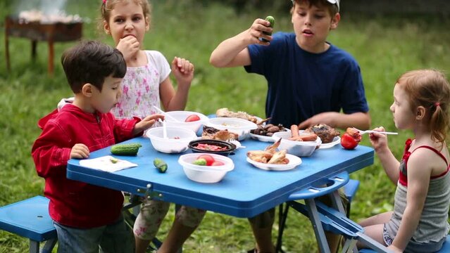 children eat chicken and sausages with vegetables at picnic