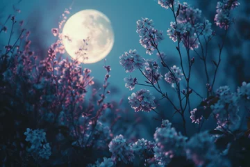 Fotobehang moon and blossom, pastel © wai