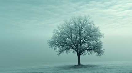  a lone tree stands in the middle of a snow - covered field on a cold, foggy day in the distance is a blue sky with wispy clouds.