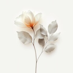 Abstract botanical art minimalist isolated on white background. Generative AI.