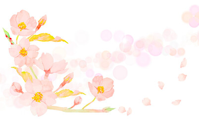 水彩で描いたかわいい桜の花のイラスト背景素材