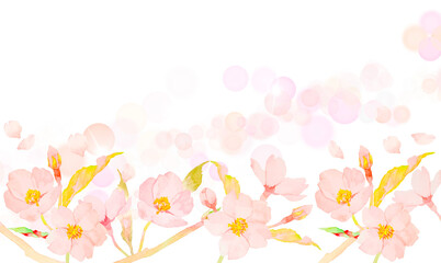 水彩で描いたかわいい桜の花のイラストフレーム