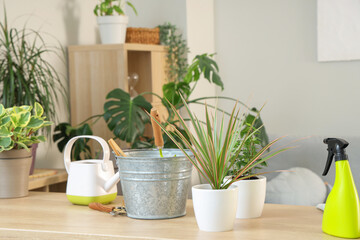 Green plant with gardening tools on table in room