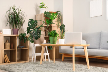 Interior of living room with green plants, shelf units and sofa