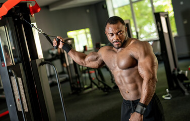 Shirtless muscular man training his body. Gym pumping handsome guy.