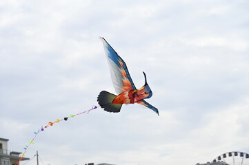 Fototapeta na wymiar Festival des cerfs-volants à Berck-sur-mer