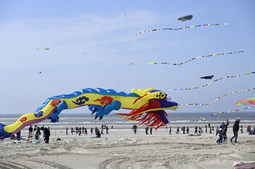 Festival des Cerfs-Volants à Berck sur mer
