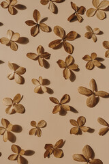 Dry star flowers on neutral tan beige background
