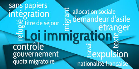 Nuage de Mots Loi Immigration v6
