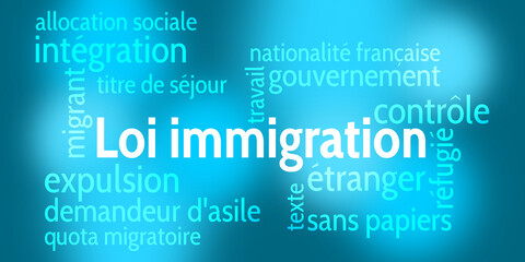 Nuage de Mots Loi Immigration v7