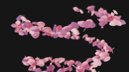 cherryblossom flower flying cosmetic product ad promotion animation 4k video