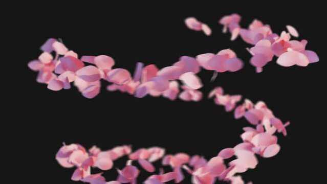 cherryblossom flower flying cosmetic product ad promotion animation 4k video