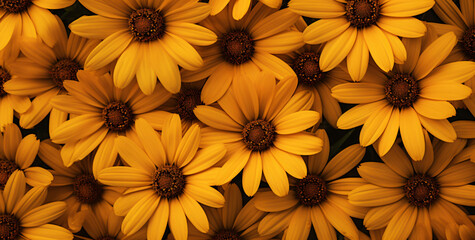 A close up photo of a field of yellow daisies, in the style of texture-rich, allover composition

