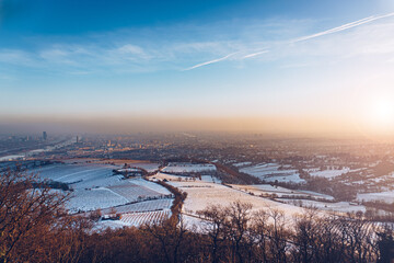 Vienna capital city of Austria in Europe, during winter. Panorama view from Kahlenberg. - obrazy, fototapety, plakaty