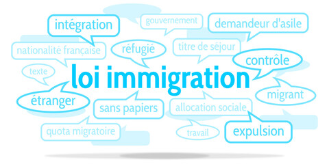 Nuage de Mots Loi Immigration v10