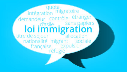 Nuage de Mots Loi Immigration v11