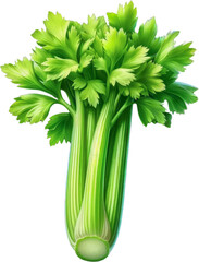 Fresh organic celery on a transparent background png
