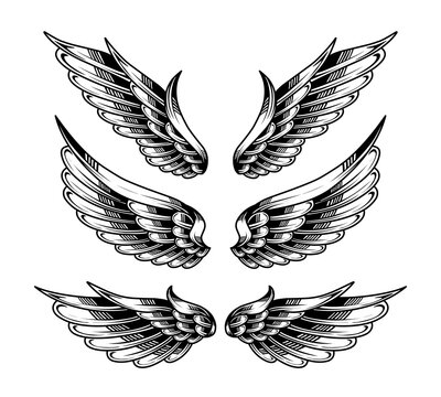 vector set of vintage angel wings tattoos