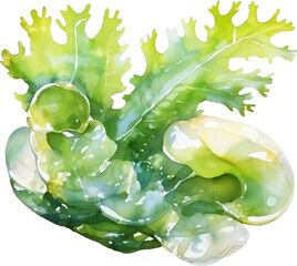 Seaweed created with Generative AI technology
