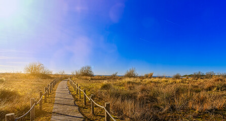 Path in the dunes