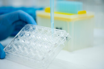 cell culture at the safety cabinet in cell culture laboratory, cancer and medicine research 