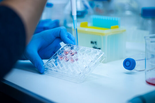 research science cell culture at the medicine, medical and cell culture laboratory